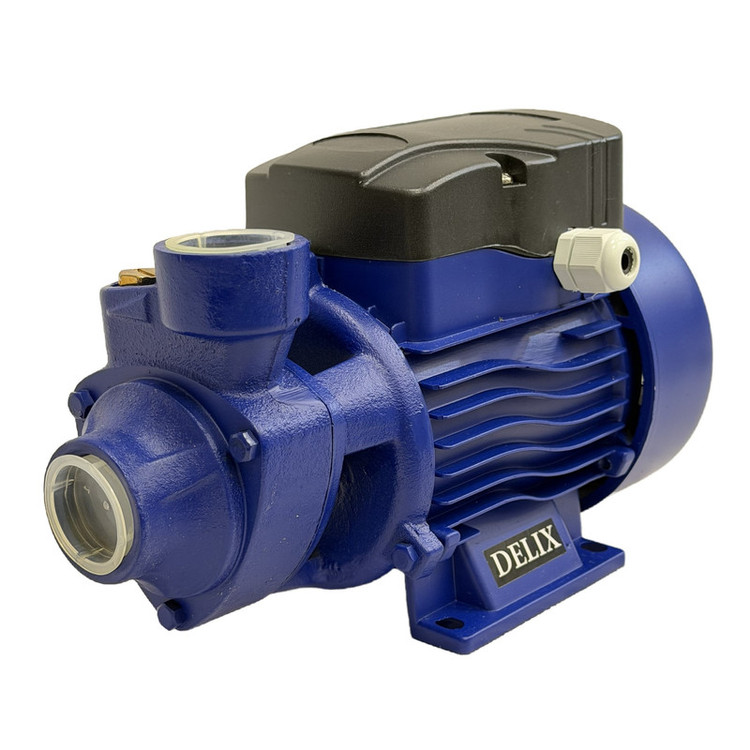 پمپ آب نیم اسب بخار دلیکس کد RKM-60