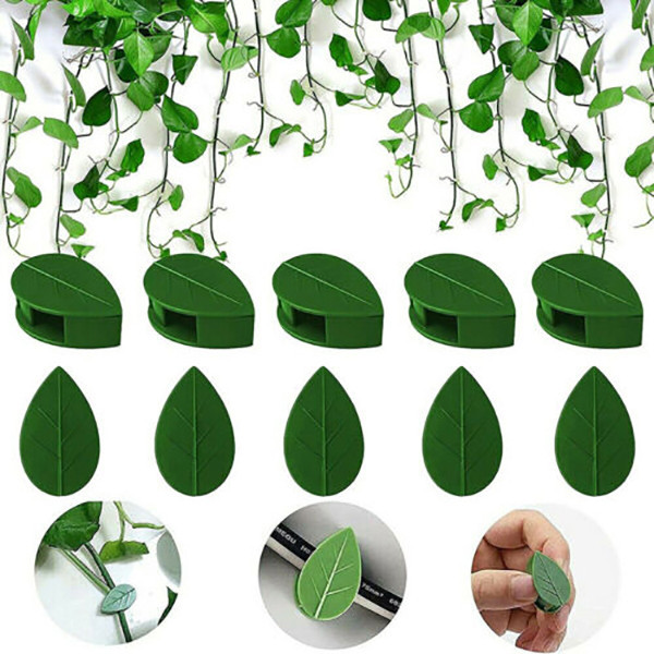 گیره نگهدارنده مدل برگ بسته 10 عددی