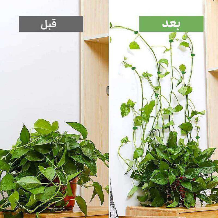 گیره نگهدارنده مدل برگ بسته 10 عددی