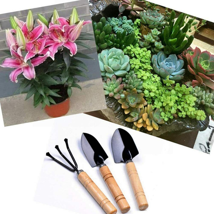 بیلچه و چنگک باغبانی مدل OXIN مجموعه 3 عددی