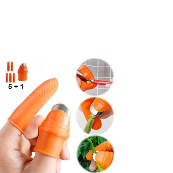 چاقو انگشتی میوه چینی کد 240372 به همراه محافظ انگشت مجموعه 6 عددی