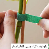 قیم نگهدارنده گیاه مدل چسبی نواری بسته 4 عددی