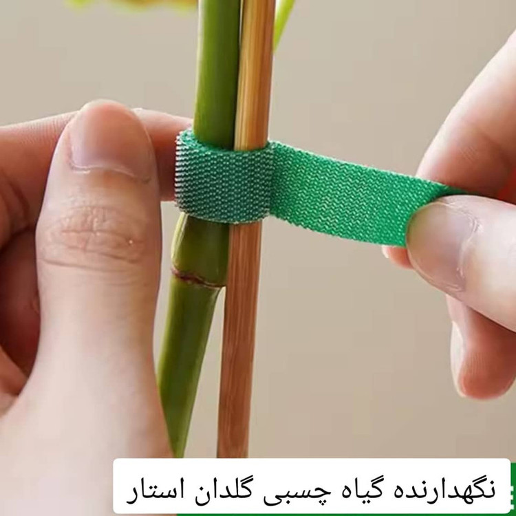 قیم نگهدارنده گیاه مدل چسبی نواری بسته 4 عددی