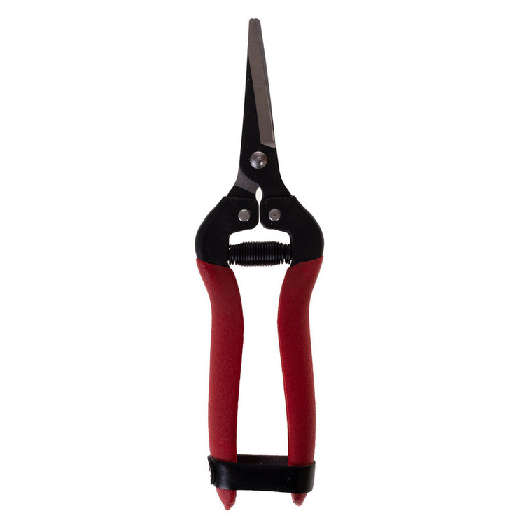 قیچی میوه چینی مدل RH-185