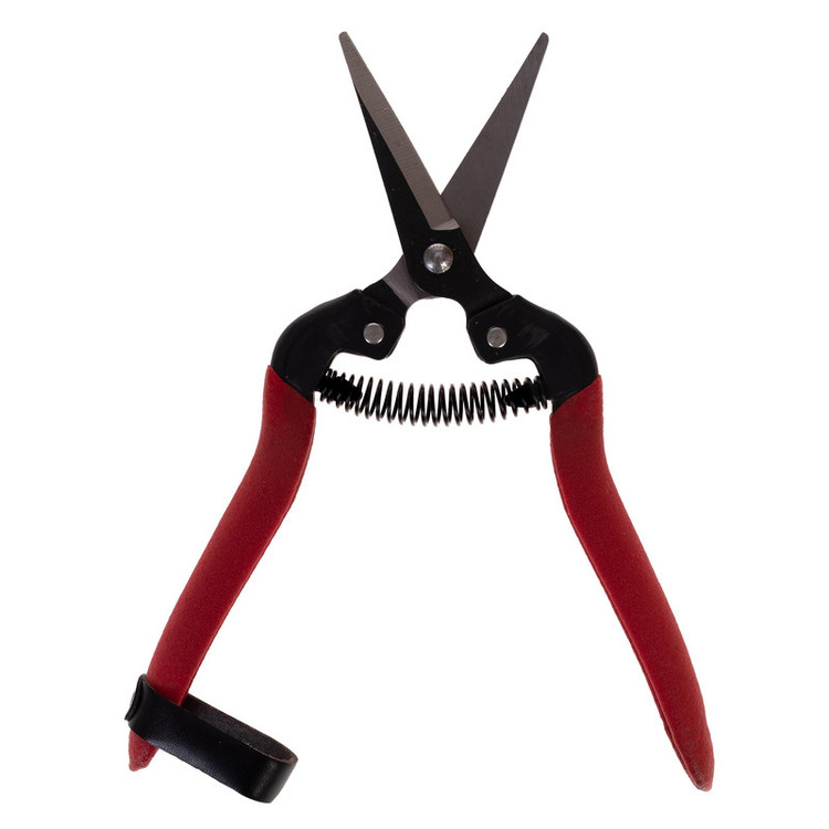 قیچی میوه چینی مدل RH-185