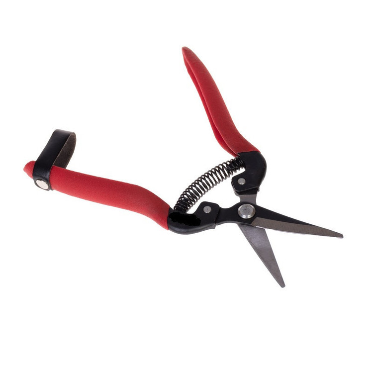 قیچی میوه چینی مدل RH-185