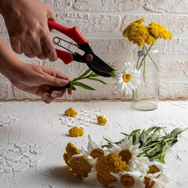 قیچی باغبانی دندانهدار مدل BD3170
