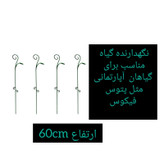 نگهدارنده گیاه مدل پتوس as3 بسته 3 عددی