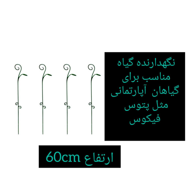 نگهدارنده گیاه مدل پتوس as3 بسته 3 عددی