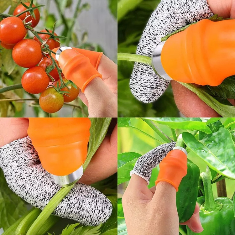 چاقو انگشتی میوه چینی مدل SMALL به همراه محافظ انگشت