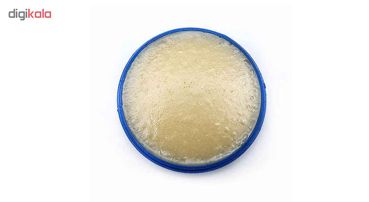 روغن لحیم پیشگام مدل B/50 مقدار 50 گرم