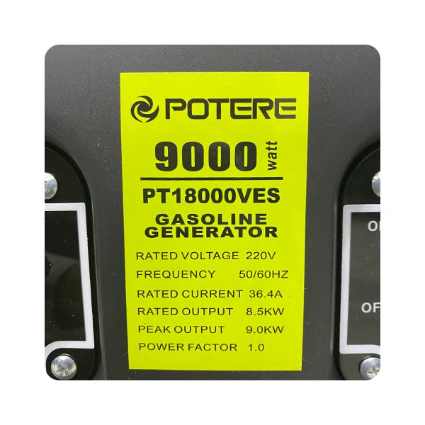موتور برق پوتر 8.5 کیلووات مدل pt18000ves